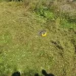 земельный участок 15 соток