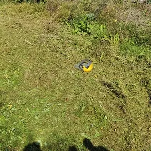 земельный участок 15 соток